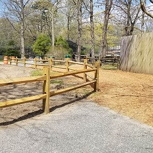 Cape May - Path put in to make loop