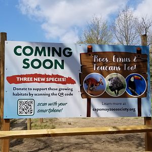 Cape May - Coming Soon, red kangaroos, emus, toco toucans