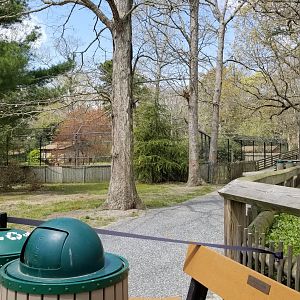 Cape May - Path to cheetahs closed :( :(