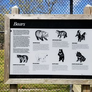Cape May - Bear species sign, missing giant panda