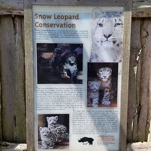 Cape May - Snow Leopard conservation sign