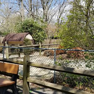 Cape May - Patagonian Mara