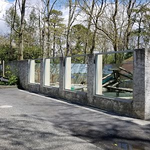 Cape May - North American River Otter