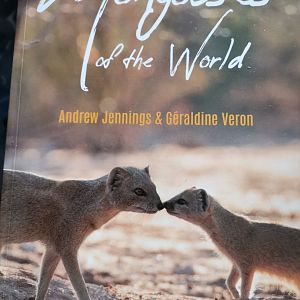Mongooses of the World  by Andrew Jennings