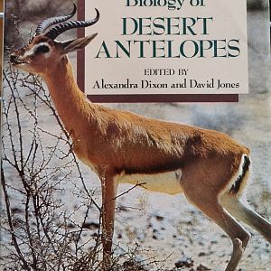 Conservation and Biology of Desert Antelopes  by Alexandra Dixon