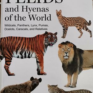 Felids and Hyenas of the World Wildcats, Panthers, Lynx, Pumas, Ocelots, Caracals, and Relatives by Dr. Jose R. Castello