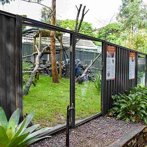 Rock Wallaby Enclosure