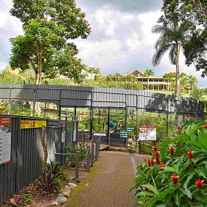 Spider Monkey Enclosure
