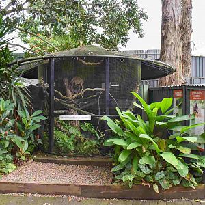 Carpet Python Enclosure