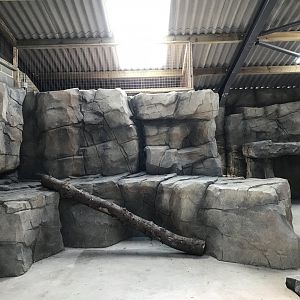 Snow Leopard Indoor Area