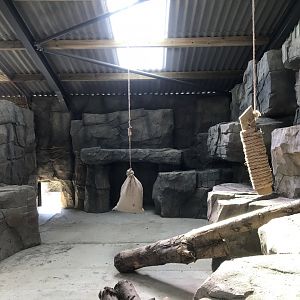 Snow Leopard Indoor Area