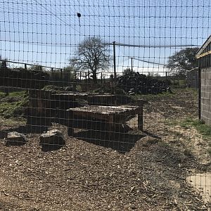 Snow Leopard Enclosure (Left)