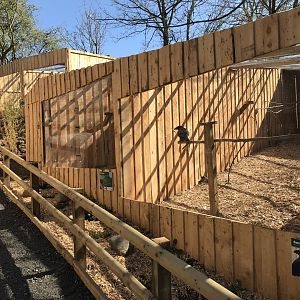 Bird of Prey Aviaries