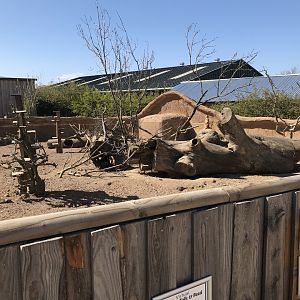 Meerkat and Cape Porcupine Enclosure
