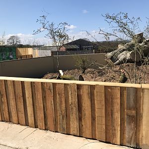 Black-Tailed Prairie Dog Enclosure