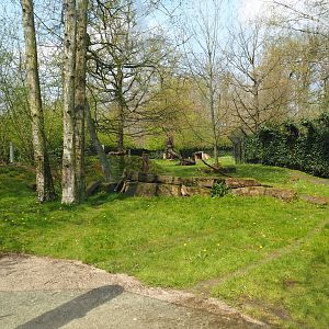 Sudan cheetah exhibit, 2021-04-20