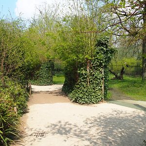 Sudan cheetah viewing areas, 2021-04-20