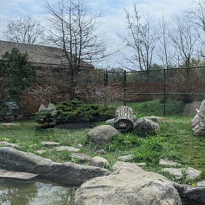 River Otter exhibit