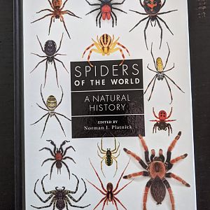 Spiders of the World: A Natural History
