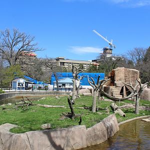 Japanese Macaque Island