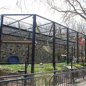 Primates of the World - Orangutan Exhibit