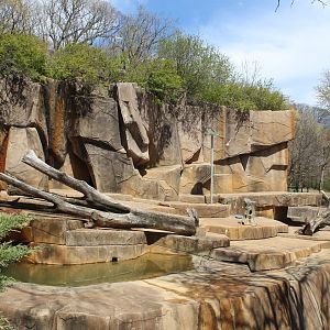 North America - Grizzly Bear Exhibit