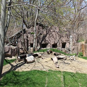 North America - Prairie Dog Exhibit