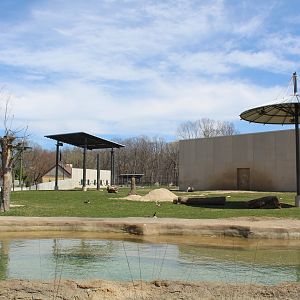 Adventure Africa - African Elephant Exhibit
