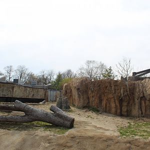 Adventure Africa - Hippo Exhibit