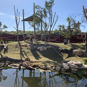 Capybara Exhibit