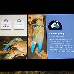 Smooth Yabby Information Display