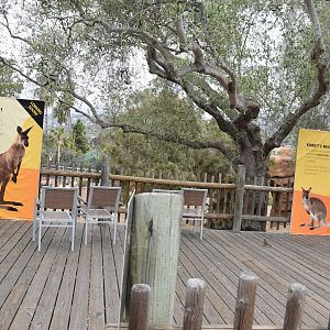 Australian walkabout upcoming animals