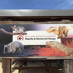 Reptile & Noctural House Sign