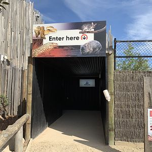 Reptile & Noctural House Entrance