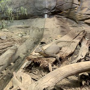 Merten's Water Monitor
