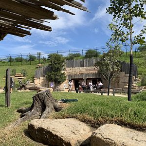 Reptile and Noctural House Exit