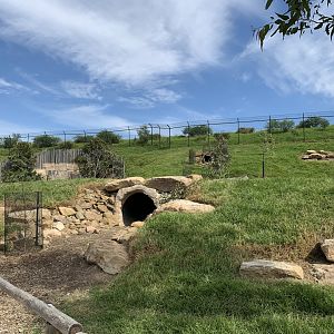 Australian Walkabout