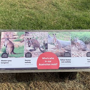 Macropod Sign