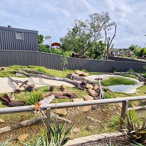 Small-clawed otter enclosure