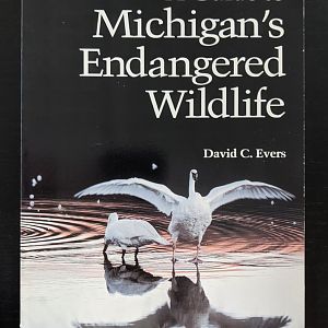 A Guide to Michigan's Endangered Wildlife
