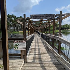 Walkway over gator and crocodile pond