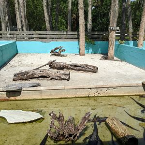 Small Alligator Enclosure #1