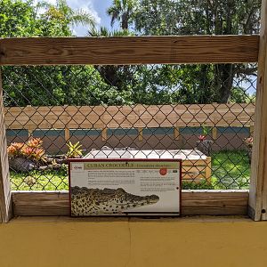 Cuban Crocodile enclosure