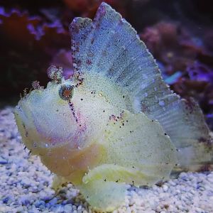 Haus der Natur Salzburg