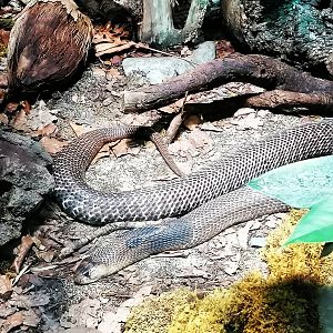 Haus der Natur Salzburg