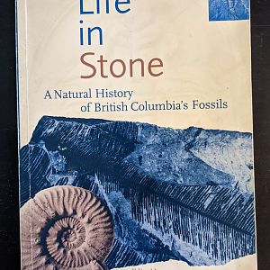 Life in Stone: A Natural History of British Columbia's Fossils