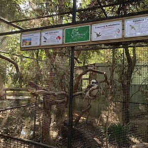 Kookaburra Aviary