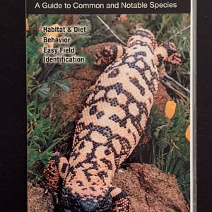 Reptiles and Amphibians of the Mojave Desert