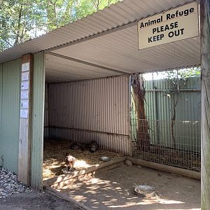Macropod Shelter