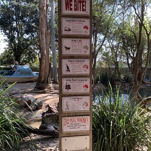Pelican Exhibit Sign